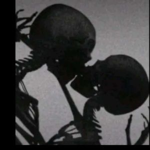 Meet your Posher, Riley